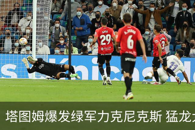 塔图姆爆发绿军力克尼克斯 猛龙大逆转胜奇才